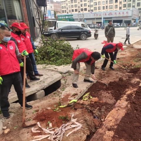 绿化员岗位职责具体包含哪些工作内容？