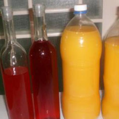 酵母厂各岗位职责具体是什么? 酵母厂各岗位职责具体是什么?