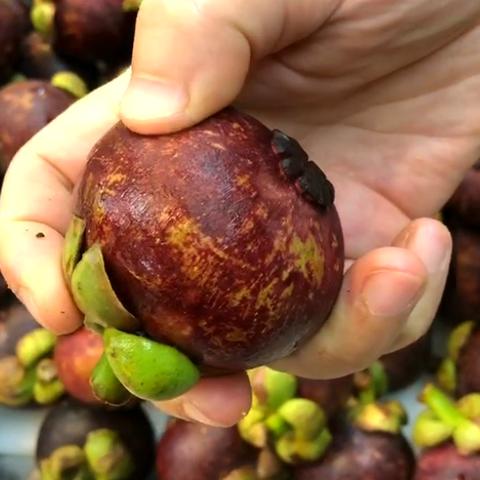 开水果店需准备哪些核心物资？