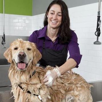 美容院顾客类型如何细分? 美容院顾客类型如何细分?