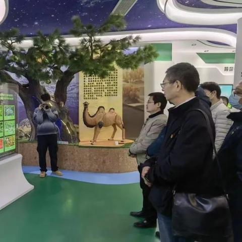 上轴岗位职责具体包含哪些核心任务？