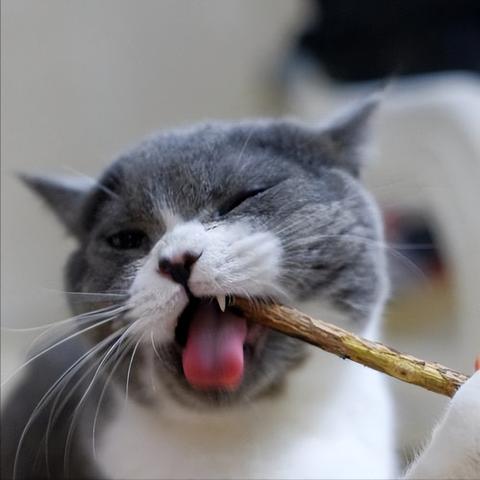 休闲零食的核心客户群体是谁? 休闲零食的核心客户群体是谁?