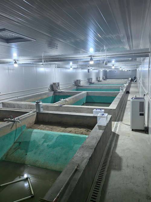 特种养殖项目有哪些养