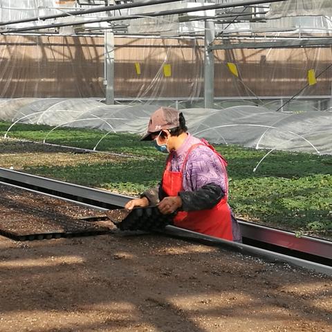 蔬菜采购岗的核心职责是什么? 蔬菜采购岗的核心职责是什么?