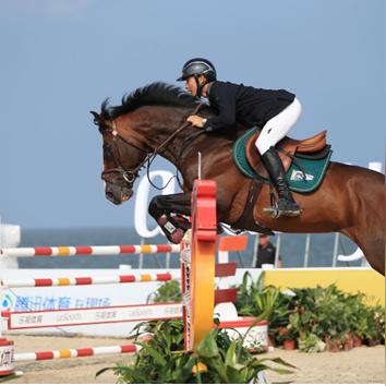 马术俱乐部各岗位职责具体有哪些？