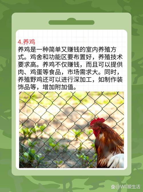 小成本养殖项目有哪些