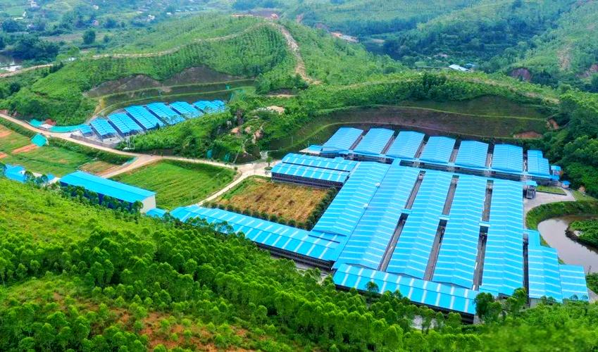 养殖前景好的项目有哪些