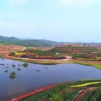 观光司机岗位职责具体包含哪些内容？