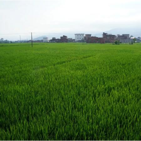 再贷款岗位职责