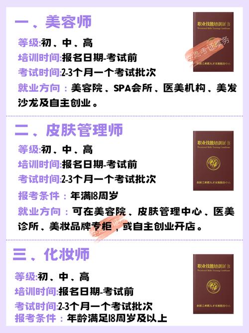 美容证都包括哪些项目