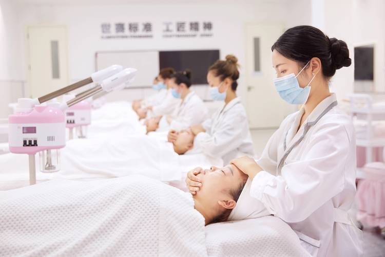 美容证都包括哪些项目