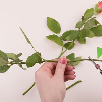 插花设计岗位职责